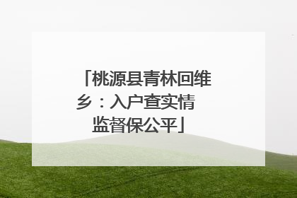 桃源县青林回维乡：入户查实情 监督保公平