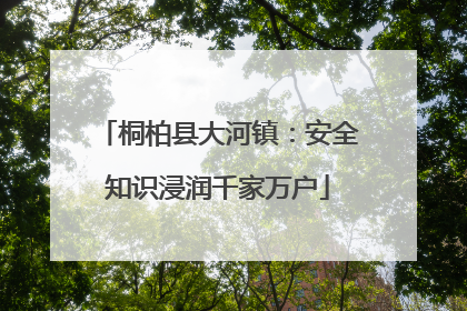 桐柏县大河镇：安全知识浸润千家万户