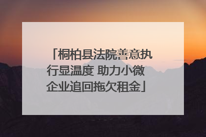 桐柏县法院善意执行显温度 助力小微企业追回拖欠租金