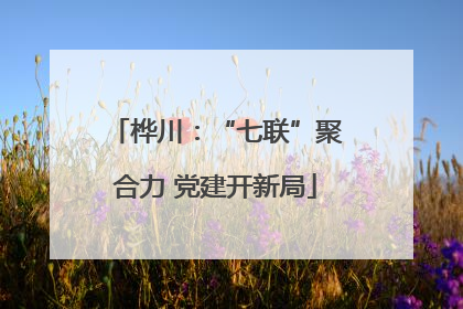桦川：“七联”聚合力 党建开新局
