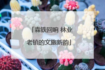 森铁回响 林业老镇的文旅新韵