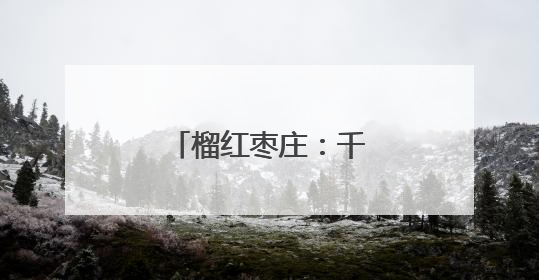 榴红枣庄：千年丝路的味觉传承与产业新生