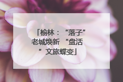 榆林：“落子”老城焕新 “盘活”文旅蝶变