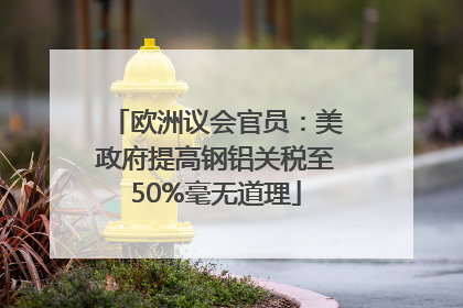 欧洲议会官员：美政府提高钢铝关税至50%毫无道理