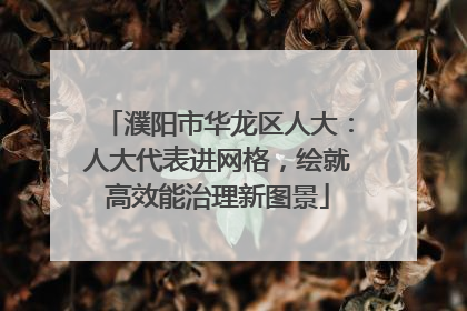 濮阳市华龙区人大：人大代表进网格，绘就高效能治理新图景