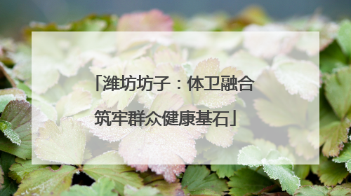 潍坊坊子：体卫融合筑牢群众健康基石