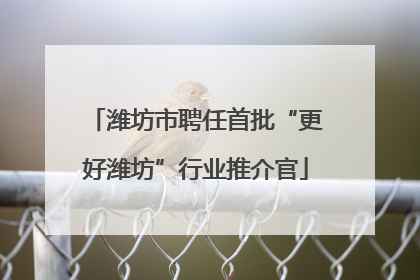 潍坊市聘任首批“更好潍坊”行业推介官