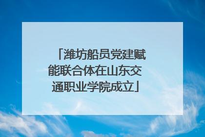 潍坊船员党建赋能联合体在山东交通职业学院成立