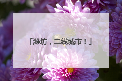 潍坊，二线城市！