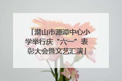 潜山市源潭中心小学举行庆“六一”表彰大会暨文艺汇演