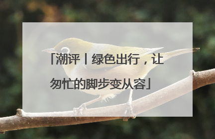 潮评丨绿色出行，让匆忙的脚步变从容