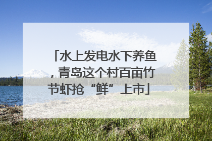 水上发电水下养鱼，青岛这个村百亩竹节虾抢“鲜”上市