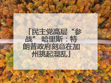 民主党高层“参战” 哈里斯：特朗普政府刻意在加州挑起混乱