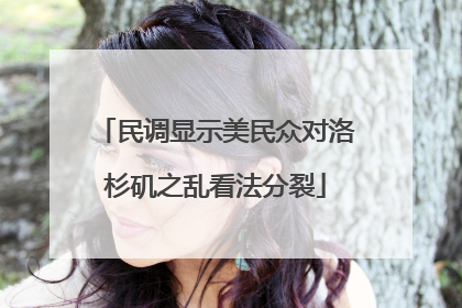 民调显示美民众对洛杉矶之乱看法分裂