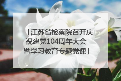 江苏省检察院召开庆祝建党104周年大会暨学习教育专题党课