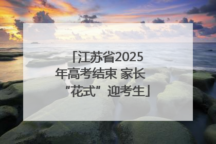 江苏省2025年高考结束 家长“花式”迎考生