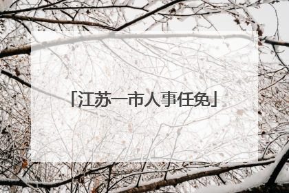 江苏一市人事任免