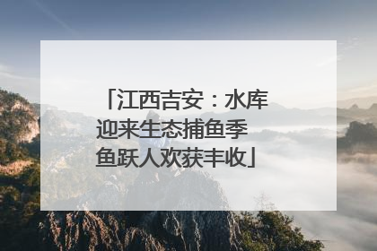 江西吉安：水库迎来生态捕鱼季 鱼跃人欢获丰收