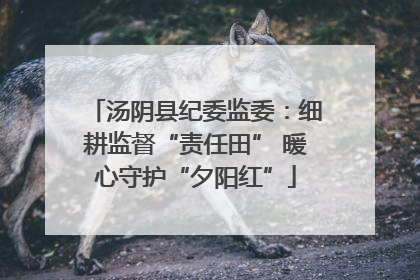 汤阴县纪委监委：细耕监督“责任田” 暖心守护“夕阳红”