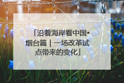 沿着海岸看中国•烟台篇｜一场改革试点带来的变化