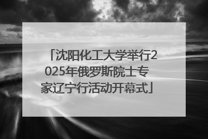 沈阳化工大学举行2025年俄罗斯院士专家辽宁行活动开幕式