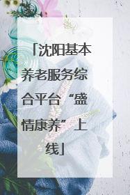 沈阳基本养老服务综合平台“盛情康养”上线