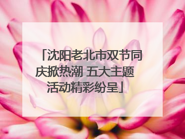 沈阳老北市双节同庆掀热潮 五大主题活动精彩纷呈