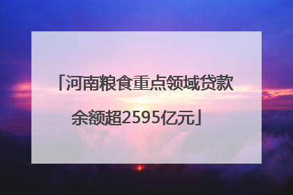 河南粮食重点领域贷款余额超2595亿元