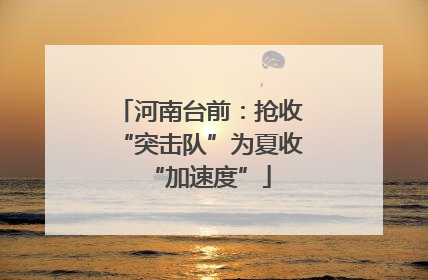 河南台前：抢收“突击队”为夏收“加速度”