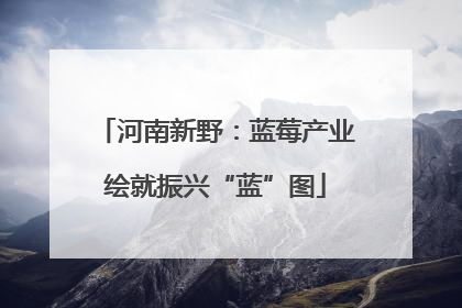 河南新野：蓝莓产业绘就振兴“蓝”图