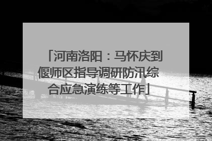 河南洛阳：马怀庆到偃师区指导调研防汛综合应急演练等工作