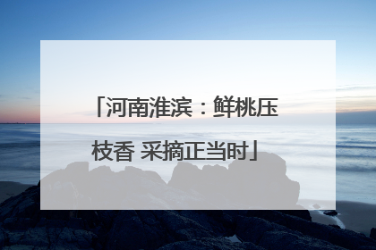 河南淮滨：鲜桃压枝香 采摘正当时