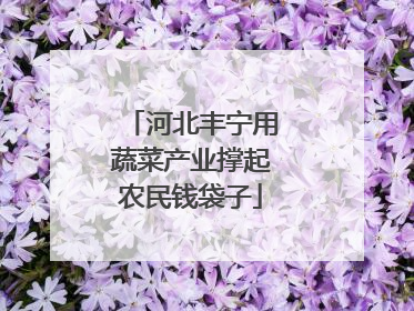 河北丰宁用蔬菜产业撑起农民钱袋子