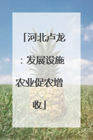 河北卢龙：发展设施农业促农增收
