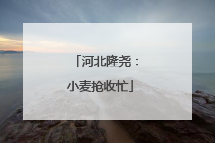 河北隆尧：小麦抢收忙