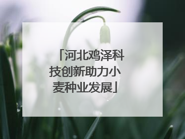 河北鸡泽科技创新助力小麦种业发展