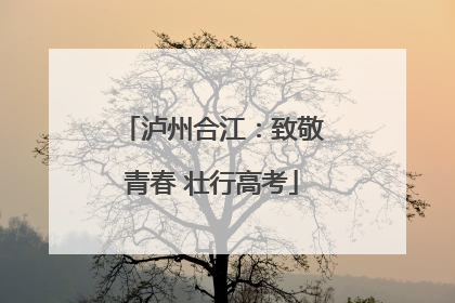 泸州合江：致敬青春 壮行高考