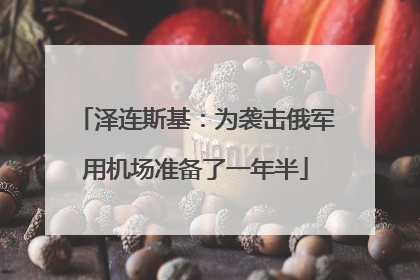 泽连斯基：为袭击俄军用机场准备了一年半