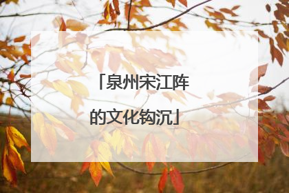 泉州宋江阵的文化钩沉