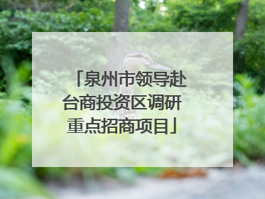 泉州市领导赴台商投资区调研重点招商项目