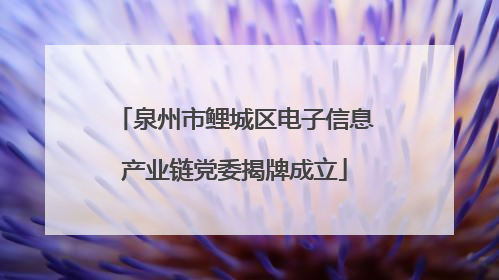 泉州市鲤城区电子信息产业链党委揭牌成立