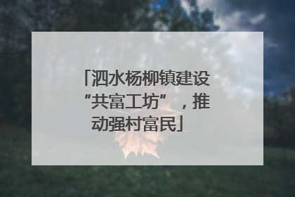 泗水杨柳镇建设“共富工坊”，推动强村富民