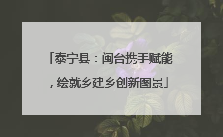 泰宁县：闽台携手赋能，绘就乡建乡创新图景