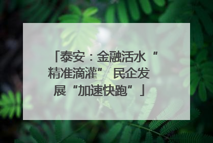 泰安：金融活水“精准滴灌” 民企发展“加速快跑”