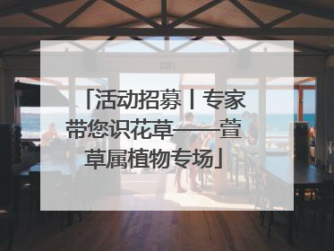 活动招募丨专家带您识花草——萱草属植物专场