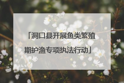 洞口县开展鱼类繁殖期护渔专项执法行动
