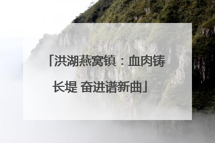 洪湖燕窝镇：血肉铸长堤 奋进谱新曲