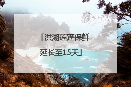 洪湖莲蓬保鲜延长至15天