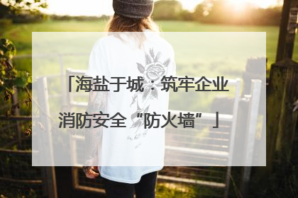 海盐于城：筑牢企业消防安全“防火墙”