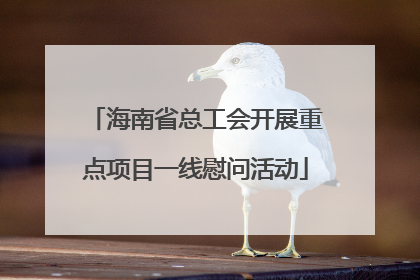 海南省总工会开展重点项目一线慰问活动